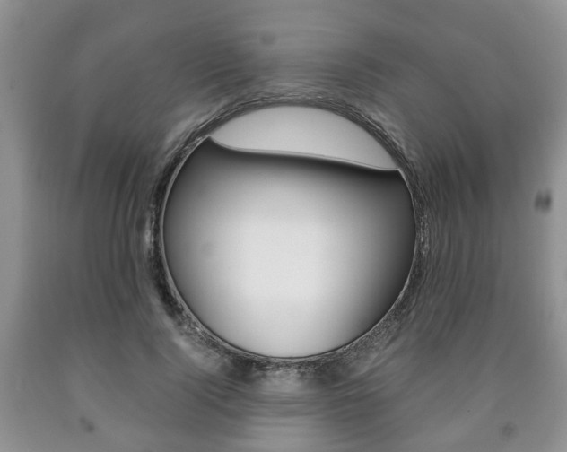 X0000090760740200707201053