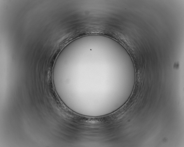 X0000090760741200707201053