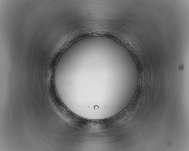 X0000090760742200707201053