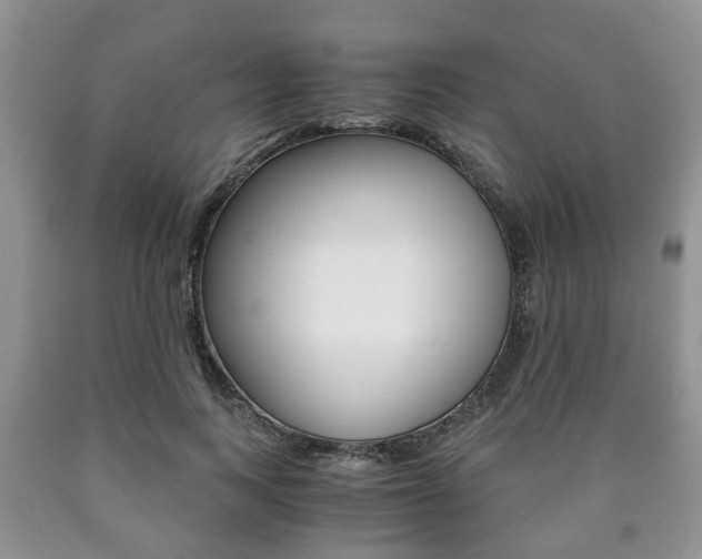 X0000090760743200707201053