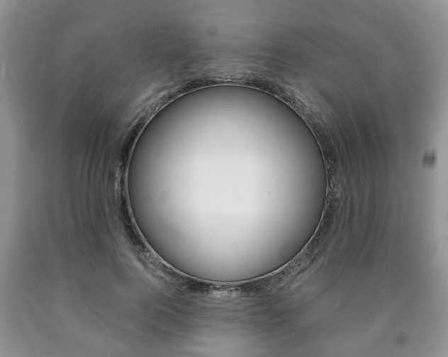 X0000090760744200707201053