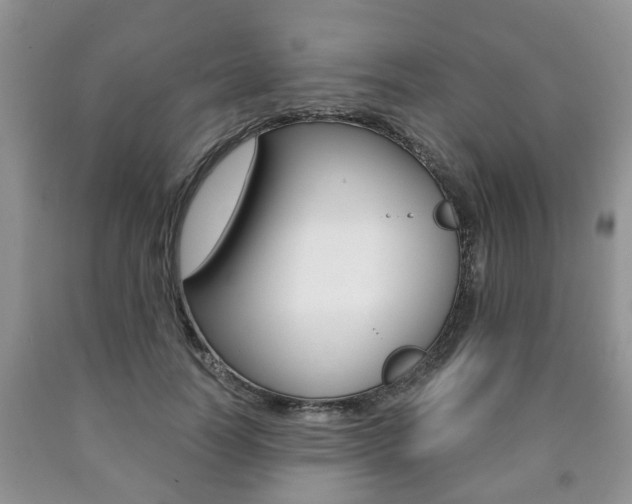 X0000090760746200707201053