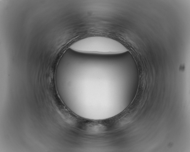 X0000090760747200707201053