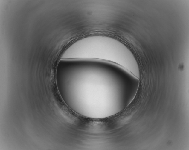 X0000090760748200707201053