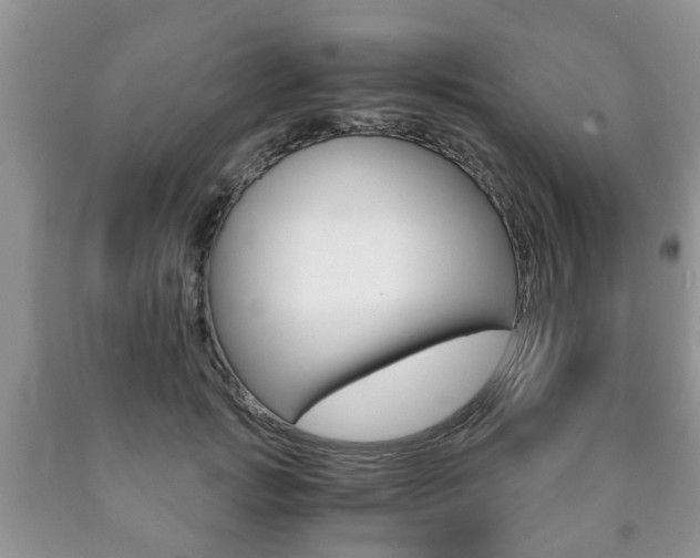 X0000090760749200707201053