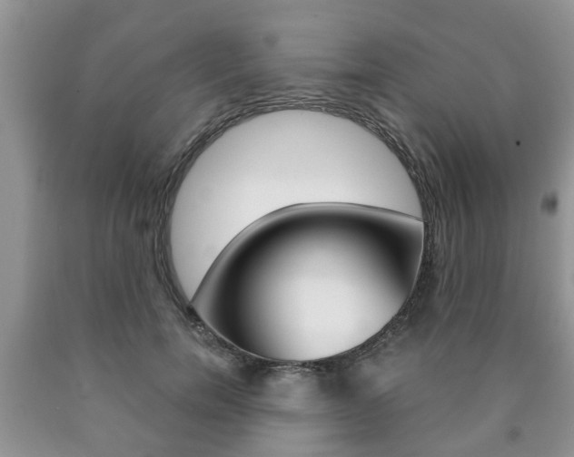 X0000090760750200707201053