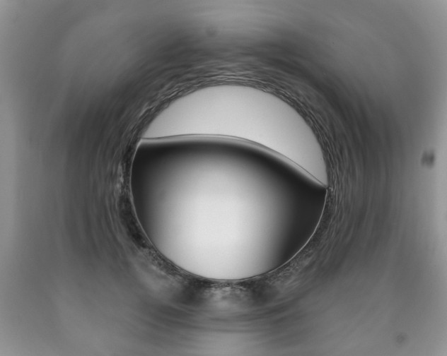 X0000090760752200707201053