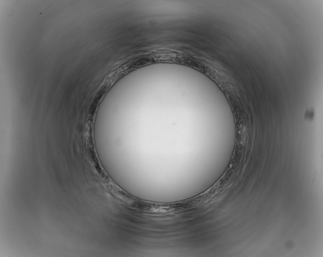 X0000090760753200707201053
