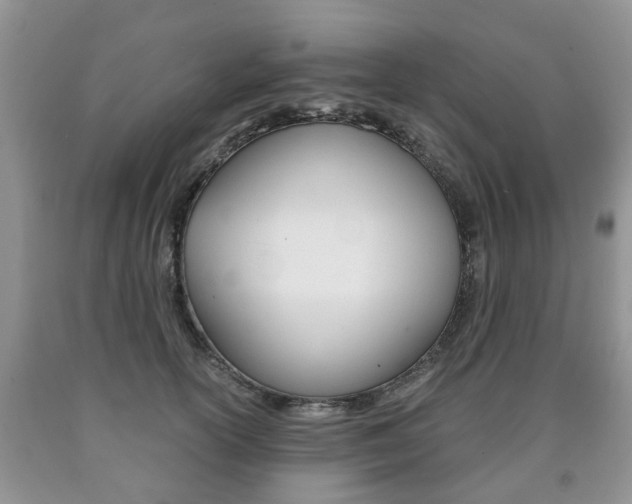 X0000090760754200707201053