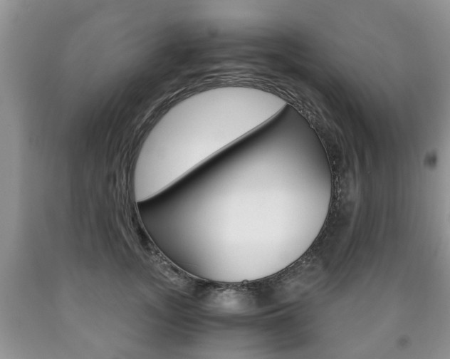 X0000090760755200707201053