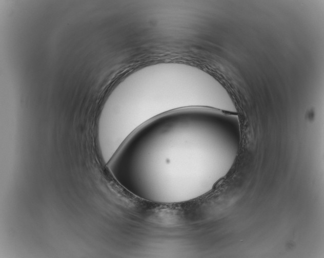 X0000090760756200707201053