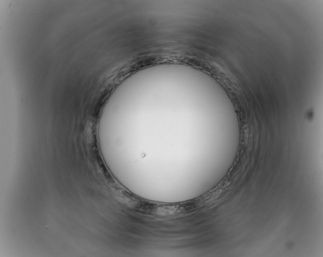 X0000090760757200707201053