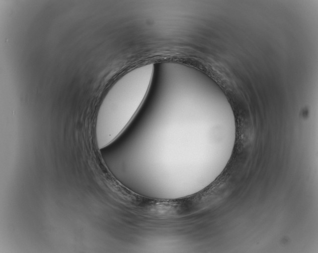 X0000090760758200707201054