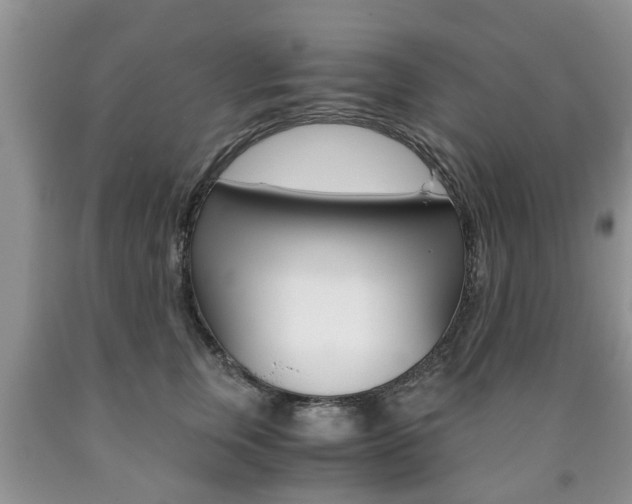 X0000090760759200707201054