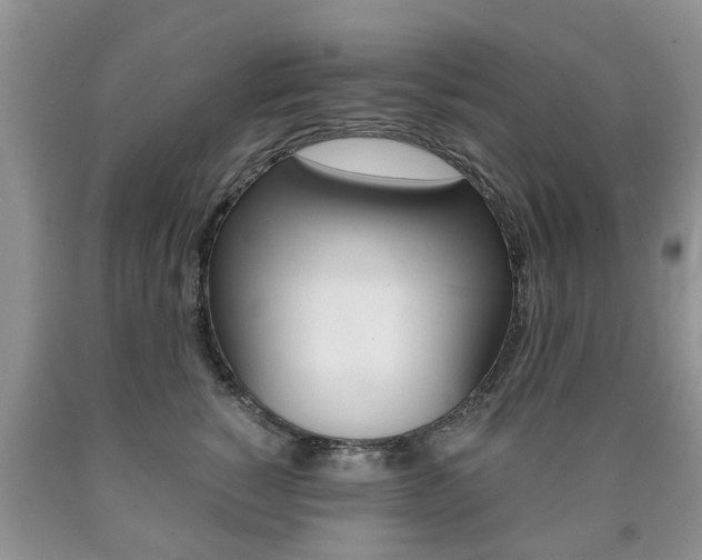 X0000090760760200707201054