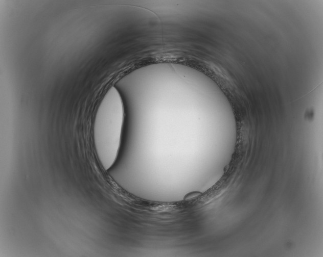 X0000090760761200707201054