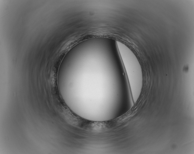X0000090760762200707201054