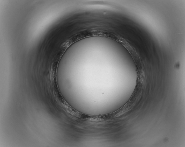 X0000090760763200707201054