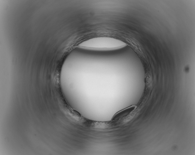 X0000090760766200707201054