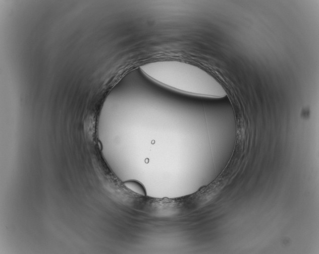 X0000090760767200707201054