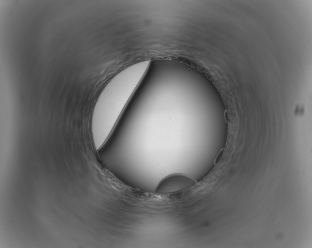 X0000090760768200707201054