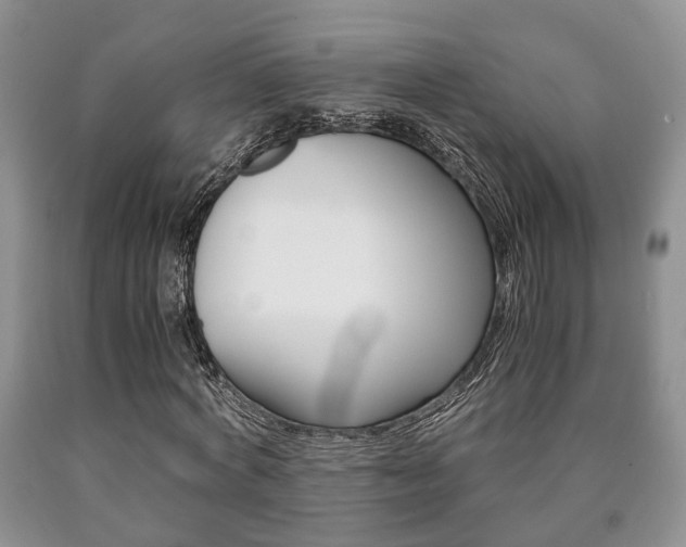 X0000090760772200707201053