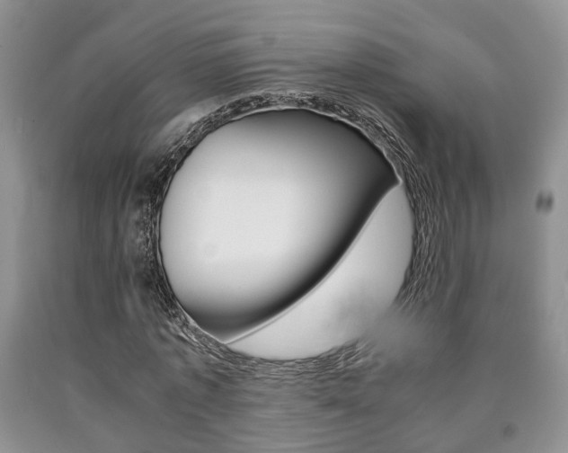 X0000090760773200707201053