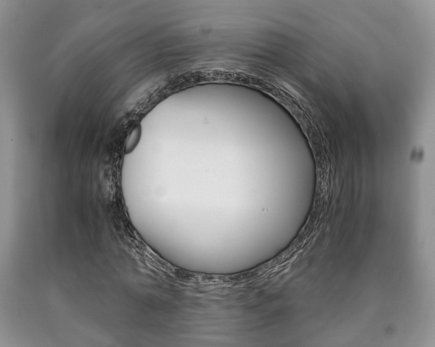 X0000090760774200707201053