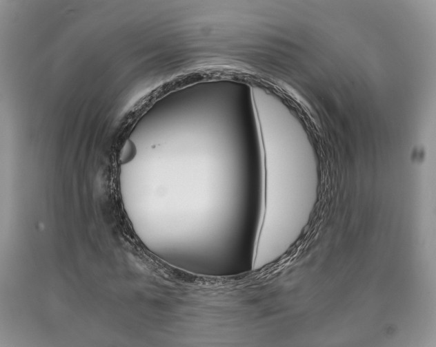 X0000090760775200707201053