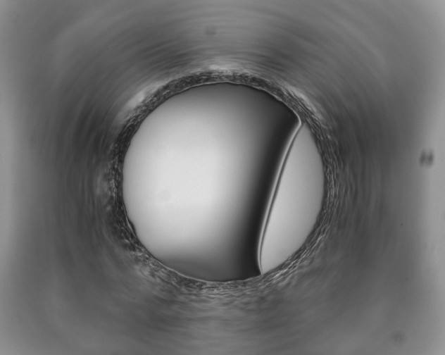X0000090760776200707201053