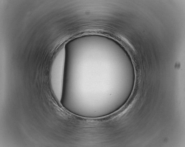 X0000090760777200707201053