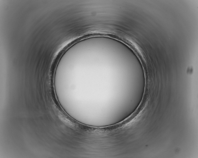 X0000090760779200707201053