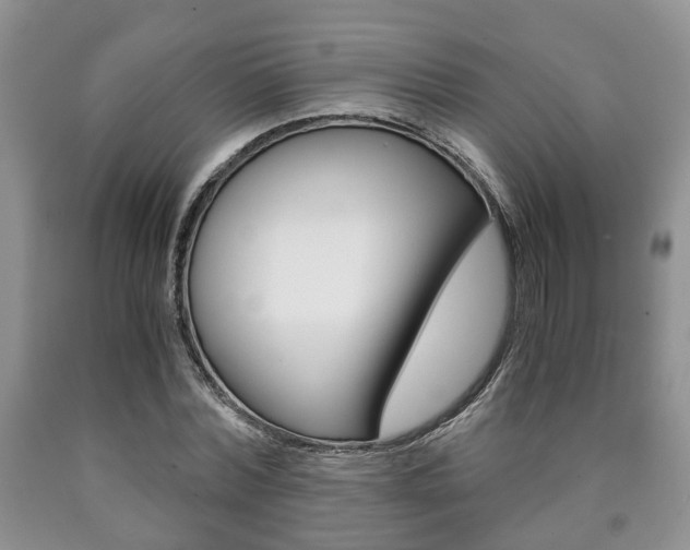 X0000090760780200707201053
