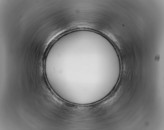 X0000090760782200707201053