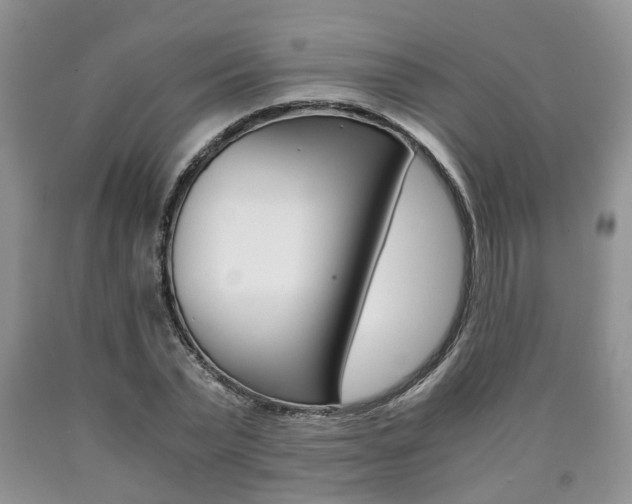X0000090760783200707201053