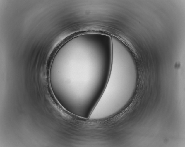X0000090760784200707201053