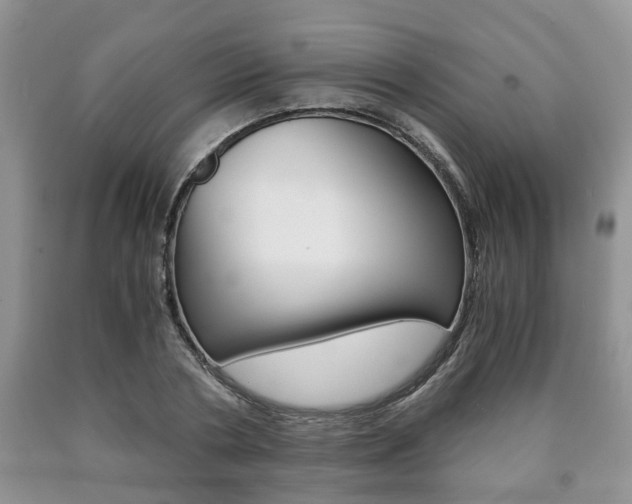 X0000090760786200707201053