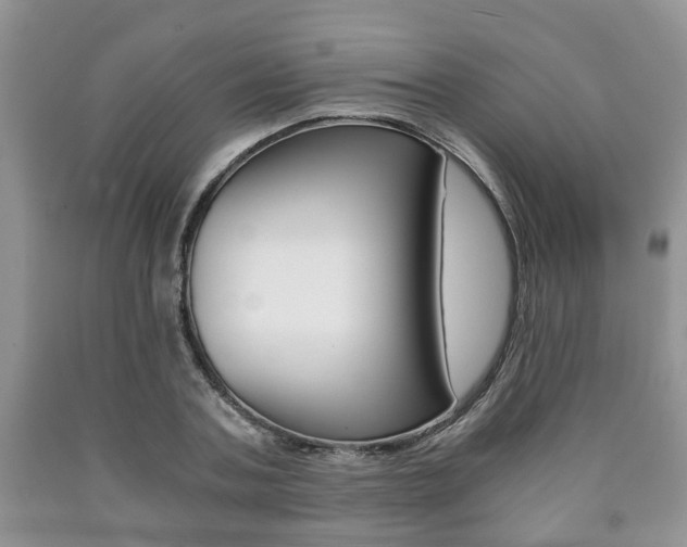 X0000090760787200707201053