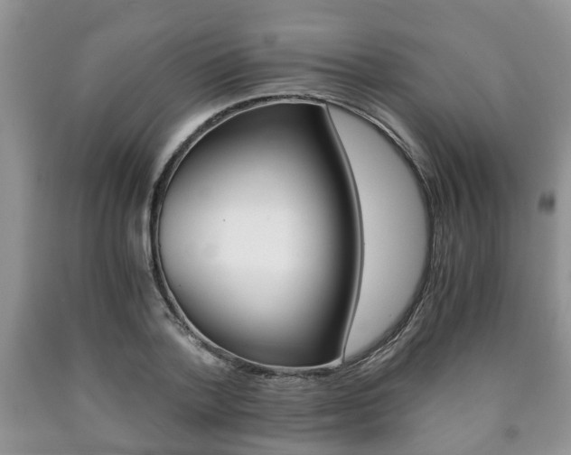 X0000090760788200707201053
