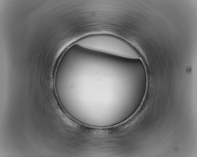 X0000090760789200707201053