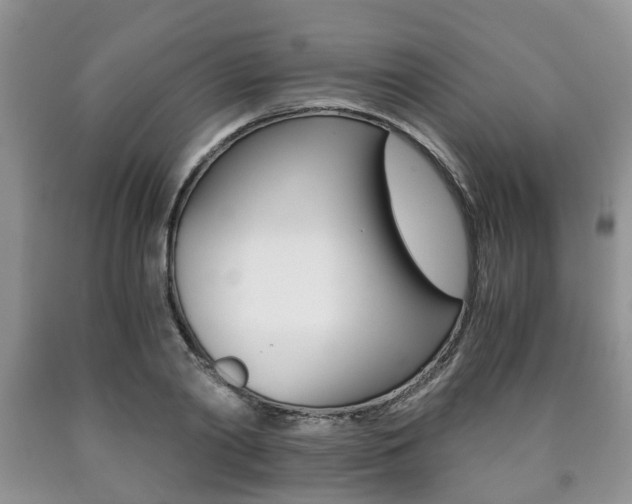 X0000090760790200707201053