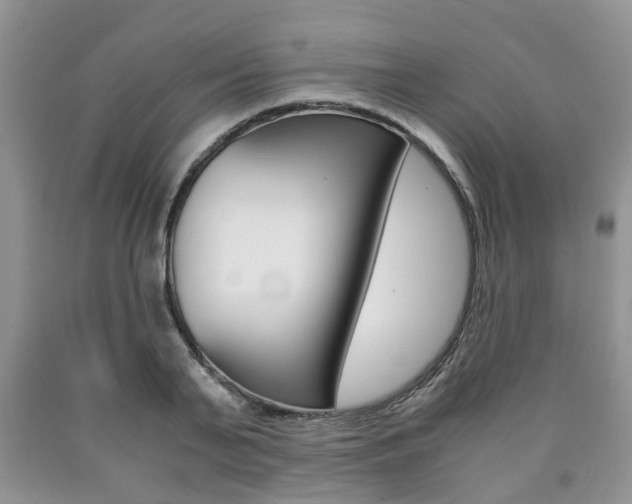 X0000090760791200707201053