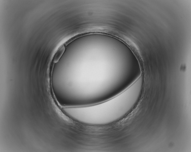 X0000090760792200707201053