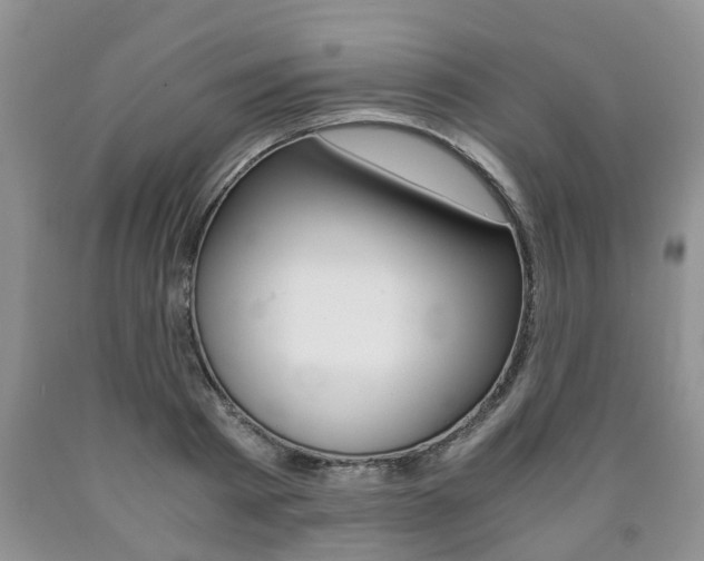 X0000090760793200707201053