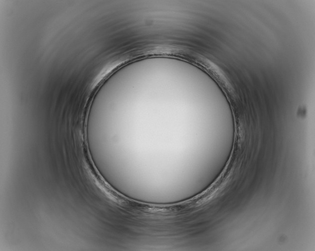 X0000090760794200707201052