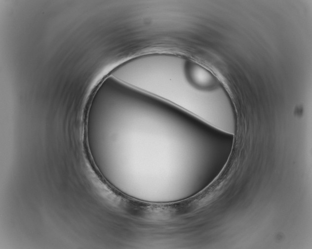 X0000090760795200707201052