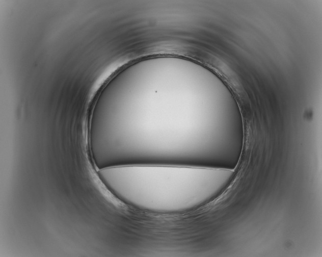 X0000090760796200707201052