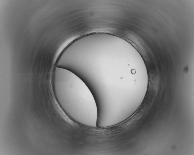 X0000090760804200707201052