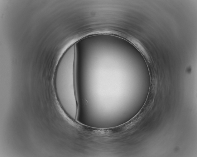 X0000090760805200707201052