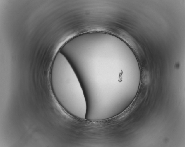 X0000090760806200707201052
